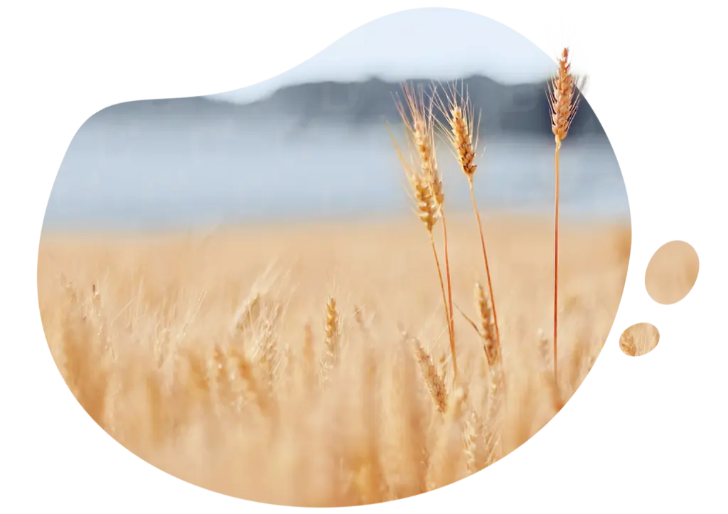 БЛОГ-(4)-02.png БЛОГ-(4)-02.png
