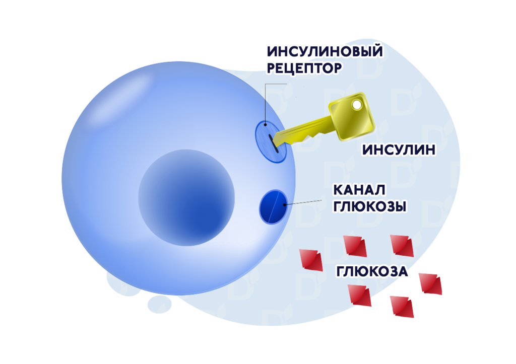 БЛОГ1.png БЛОГ1.png