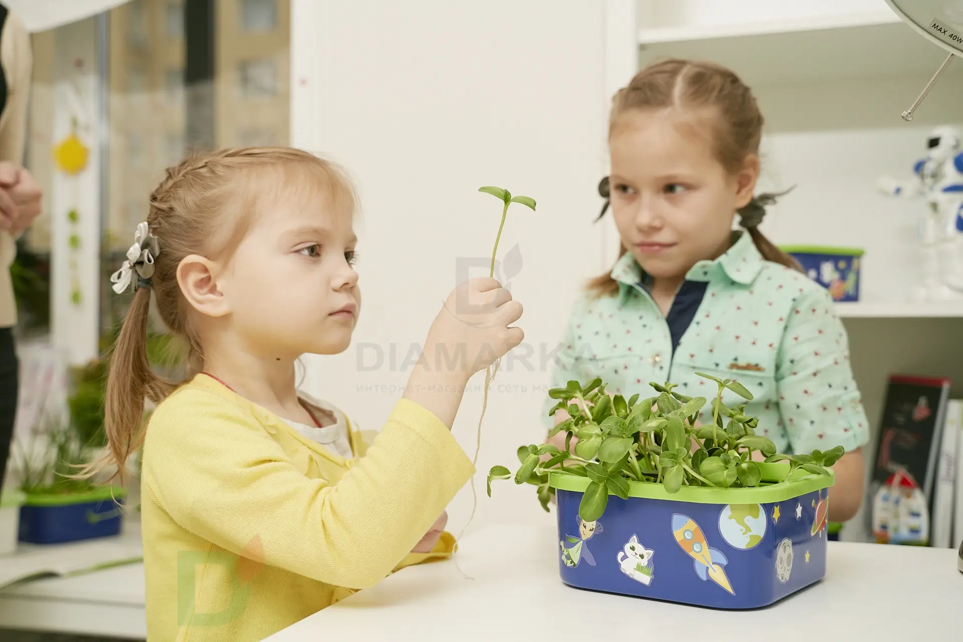 Проращиватель Космогрядка для детей Здоровья клад